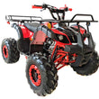 Load image into Gallery viewer, CT-125 125cc ATV, 4 STROKE ( CARB Approved )