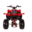 Load image into Gallery viewer, HHH 125cc Premium Sporty Edition ATV |125cc Gas Powered Youth Quad | Fully Automatic with Reverse | 4-Stroke Air-Cooled Engine | Electric Start with Big Tires 19"/18".