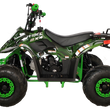 Load image into Gallery viewer, 110cc-110cc-ATV AIR COOLED, SINGLE CYLINDER 4 STROKE