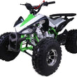 Load image into Gallery viewer, New Cheetah 125cc ATV-mid-size-atv-automatic w/reverse air cooled 4-stroke