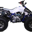 Load image into Gallery viewer, New Cheetah 125cc ATV-mid-size-atv-automatic w/reverse air cooled 4-stroke