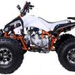 Load image into Gallery viewer, New Cheetah 125cc ATV-mid-size-atv-automatic w/reverse air cooled 4-stroke