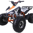 Load image into Gallery viewer, New Cheetah 125cc ATV-mid-size-atv-automatic w/reverse air cooled 4-stroke