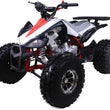 Load image into Gallery viewer, New Cheetah 125cc ATV-mid-size-atv-automatic w/reverse air cooled 4-stroke