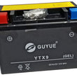 Load image into Gallery viewer, GUYUN YTX9 SEALED Battery 12V 8Ah For GTX 250,TITAN 250 EFI Motorcycle