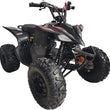 Load image into Gallery viewer, HHH 125cc ATV Fully Automatic Youth ATV Gas Four Wheeler with Reverse and Big Tires 19"/18" Tires