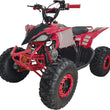 Load image into Gallery viewer, HHH 125cc ATV Fully Automatic Youth ATV Gas Four Wheeler with Reverse and Big Tires 19"/18" Tires