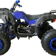 Load image into Gallery viewer, HHH 200cc ATV Adult Big Utility ATV with Automatic Transmission with Reverse, LED Headlight, Big 23"/22" Wheels CT-200-1 Blue Color