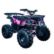Load image into Gallery viewer, Vitacci Rider 10 110cc ATV 4 STROKE ( CARB Approved )