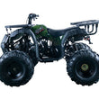 Load image into Gallery viewer, HHH Vitacci Rider 10 125cc ATV Single Cylinder 4 Stroke Air Cooled