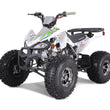 Load image into Gallery viewer, HHH Cheetah Platinum 125cc ATV-mid-size-atv-automatic w/reverse air cooled 4-stroke