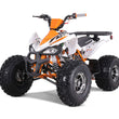 Load image into Gallery viewer, HHH Cheetah Platinum 125cc ATV-mid-size-atv-automatic w/reverse air cooled 4-stroke