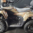 Load image into Gallery viewer, freelander 4x2 300cc ATV - Fully Automatic - Water Cooled