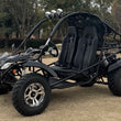 Load image into Gallery viewer, New Vitacci JAG-200-EFI 168.9cc 2-Seater Go-Kart