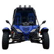 Load image into Gallery viewer, New Vitacci JAG-200-EFI 168.9cc 2-Seater Go-Kart