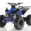Load image into Gallery viewer, Apollo BLAZER 9 DLX 125cc ATV