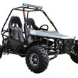 Load image into Gallery viewer, Off-road dune buggy with sturdy frame and large tires, designed for rugged terrain and outdoor adventures.