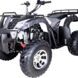 Load image into Gallery viewer, HHH TaoTao BULL 200 169CC, Air Cooled, 4-Stroke, 1-Cylinder, Automatic
