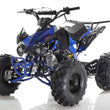 Load image into Gallery viewer, Apollo BLAZER 9 DLX 125cc ATV