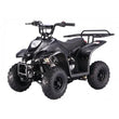 Load image into Gallery viewer, Taotao Boulder B1 ATV