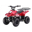 Load image into Gallery viewer, Taotao Boulder B1 ATV, 110CC ntxpowersports.com