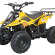 Load image into Gallery viewer, 110cc fully automatic gas ATV 4 wheeler for kids and youth