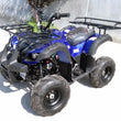 Load image into Gallery viewer, RIDER-7 125cc ATV 4 Wheeler Utility Quad Single Cylinder 4 Stroke