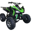 Load image into Gallery viewer, Green off-road quad bike with four large tires and aggressive styling.
