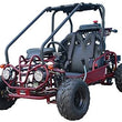 Load image into Gallery viewer, Taotao GK110 110cc Air Cooled, 4-Stroke, Automatic with Reverse,Youth Go Kart