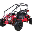 Load image into Gallery viewer, aotao GK110 110cc Go Kart