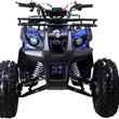 Load image into Gallery viewer, TAOTAO 125cc Utility ATV New T-FORCE ntxpowersports.com