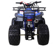 Load image into Gallery viewer, TAOTAO 125cc Utility ATV New T-FORCE