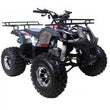 Load image into Gallery viewer, Taotao T-Force 125cc ATV ntxpowersports.com