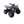 Load image into Gallery viewer, Taotao T-Force 125cc ATV ntxpowersports.com
