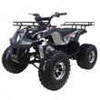 Load image into Gallery viewer, Taotao T-Force 125cc ATV Mid Size ATV, Air Cool ntxpowersports.com