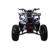 Load image into Gallery viewer, TAOTAO 125cc Utility ATV New T-FORCE ntxpowersports.com