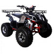 Load image into Gallery viewer, Taotao T-Force 125cc ATV Mid Size ATV ntxpowersports.com