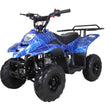 Load image into Gallery viewer, RPS 110CC Raider 6 Kids Air Cool, Single Cylinder, 4-Stroke ATV