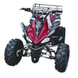 Load image into Gallery viewer, RPS JET 8 Cheetah-125cc ATV Air Cooled, Single Cylinder 4 stroke