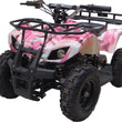 Load image into Gallery viewer, Go-Bowen-Sonora 24V 350W Kids 4 Wheeler ATV