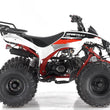 Load image into Gallery viewer, Apollo Sportrax 125cc Youth ATV