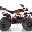 Load image into Gallery viewer, Apollo Sportrax 125cc Youth-ATV Fully Automatic | C.A.R.B approved