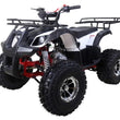 Load image into Gallery viewer, Taotao T-Force 125cc ATV Mid Size ATV ntxpowersports.com
