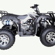 Load image into Gallery viewer, HHH TaoTao BULL 200 169CC, Air Cooled, 4-Stroke, 1-Cylinder, Automatic