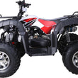 Load image into Gallery viewer, TaoTao BULL 200 169CC, Utility ATV Air Cooled, 4-Stroke, 1-Cylinder, Automatic
