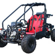 Load image into Gallery viewer, Taotao GK110 110cc Air Cooled, 4-Stroke, Automatic with Reverse,Youth Go Kart