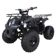 Load image into Gallery viewer, TaoTao T-FORCE 110cc ATV ntxpowersports.com