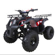 Load image into Gallery viewer, TaoTao T-FORCE 110cc ATV Mid Size Fully Automatic