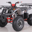 Load image into Gallery viewer, T-FORCE PLATINUM 120cc ATV Taotao 4x4 Quad ntxpowersports.com