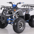 Load image into Gallery viewer, T-FORCE PLATINUM 120cc ATV Taotao ntxpowersports.com